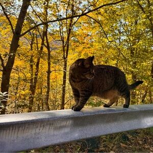 Meet your Posher, Yohaida